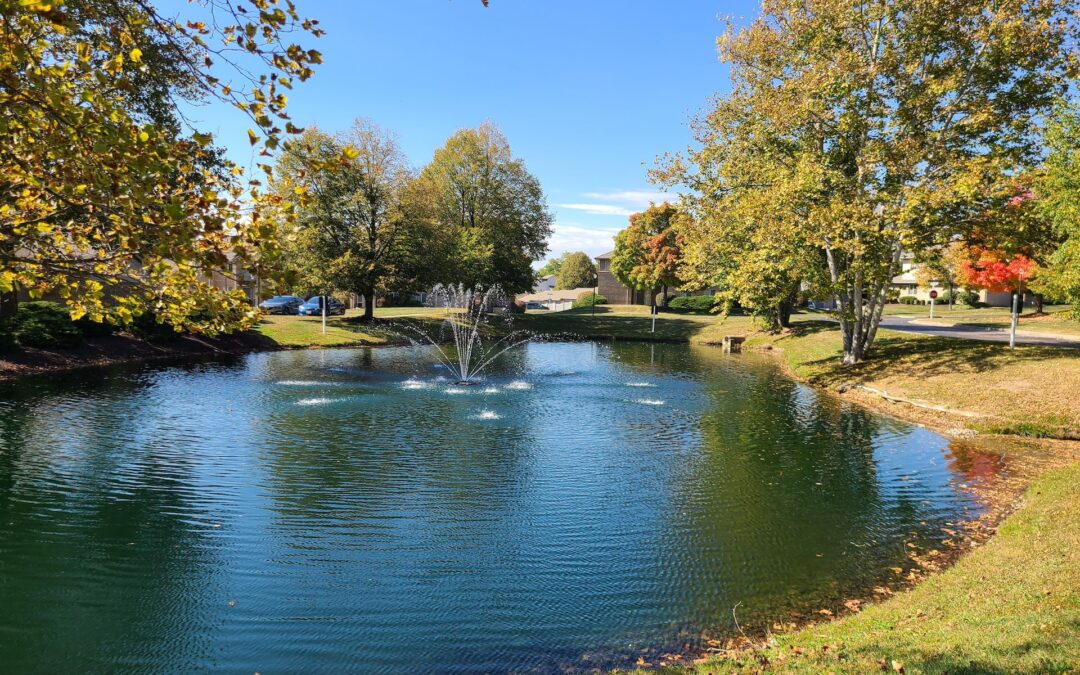 Mill Pond Apartments